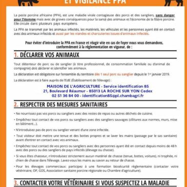 Campagne de communication Peste Porcine Africaine